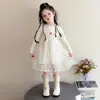 Conjunto de Vestido de Otoño para Niñas 2026 Nueva Ropa de Primavera Otoño para Bebés Chaqueta de Cuero Falda de Malla Falda de Princesa para Niños