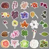 50 Adesivos de Desenho Animado de Espécimes de Plantas, Folhas e Flores Artísticas e Criativas, Adesivos Decorativos DIY para Agenda de Mão e Mala
