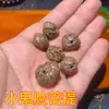 Materiales a Granel de Fruta Negra Indonesia y Cáscara de Fruta de Tejo, Campanas de Viento y Accesorios de Campana Curativos Hechos a Mano en Puro para Manualidades al por Mayor
