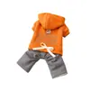 Ropa de Invierno de Cuatro Patas para Perros Pequeños, Bichón Teddy, Forrada de Polar y Engrosada, Adecuada para Perros Pequeños a Medianos, con Accesorio para Correa, Ropa Caliente de Cuatro Patas