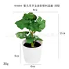 Mini maceta de plástico artificial hecha a medida para escritorio, regalo transfronterizo, hierba de cobre Pu, planta verde, crisantemo silvestre, flor artificial, bonsái de simulación