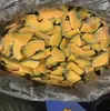 Fatias de Abóbora Congelada, Abóbora Congelada Rapidamente, Venda Direta do Fabricante, Exportação e Vendas Domésticas, Disponível Durante Todo o Ano em 2021