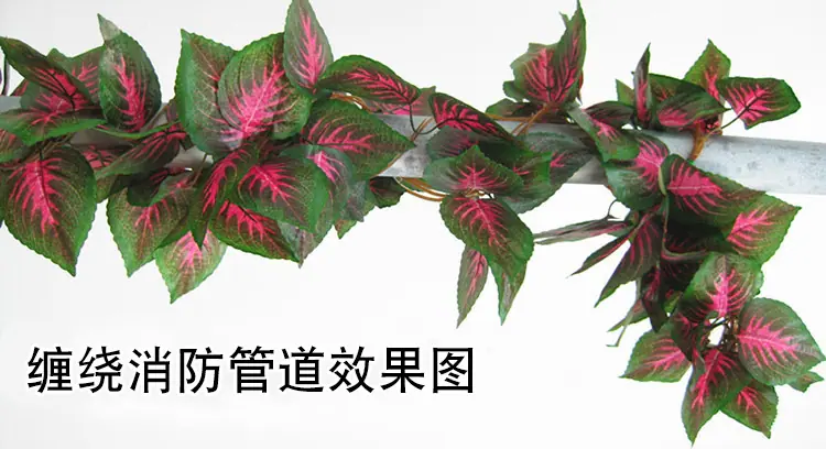 立体中号1.jpg