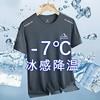 [Entrega Rápida] Camiseta de Malla de Seda de Hielo de Manga Corta para Hombre Verano Suelta Cuello Redondo Casual Combinable Tendencia