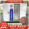 Secador eléctrico de semillas de gorgona pequeño automático cabeza de pollo arroz caja de secado cabeza de pollo equipo de secado de frutas cabeza de pollo