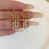 Brincos de Borla de Estrela para Mulheres Design de Nicho High-End 2024 Novos Brincos da Moda Brincos Elegantes Nicho Único