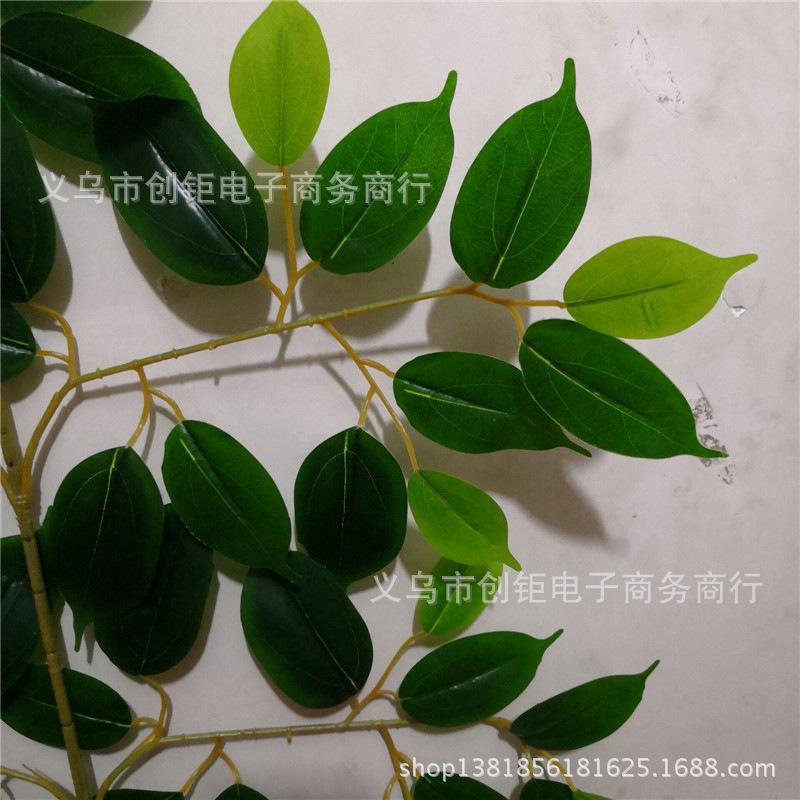 QQ图片20180113090932.jpg