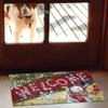 Daifa temu Tapete Decorativo de Otoño para Puerta de Entrada de Amazon Tapete de Pie de Terciopelo Cristal Espesado para Baño Tapete Absorbente