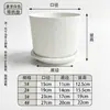 Vaso de floresAthens estilo nórdico com padrão floral vertical, vaso de plástico grande e espesso para uso doméstico, adequado para flores, suculentas e plantas verdes, vaso de galão