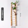 Decorações de Sashimi Enfeites Tubo de Bambu com Gelo Seco Pote Pequeno com Gelo Seco Enfeite de Postura de Frutos do Mar Japoneses Prato Balde Pequeno de Bambu com Flores