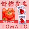 DIY Plantación Regalos en Maceta Pequeña para Niños Cultivo de Planta Verde de Escritorio Flores Enlatadas Plantas Enlatadas Plantas Populares Enlatadas