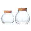 Pote de Vidro Transparente de Alto Borossilicato com Tampa de Cortiça, Disponível em Vários Tamanhos, Resistente ao Calor, Adequado para Grãos e Chá, Recipiente Selado de Alto Borossilicato