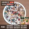 Arena de fondo para acuario, piedras decorativas, juego completo de piedras florales de lluvia ecológicas naturales, piedras luminosas y piedras en bruto