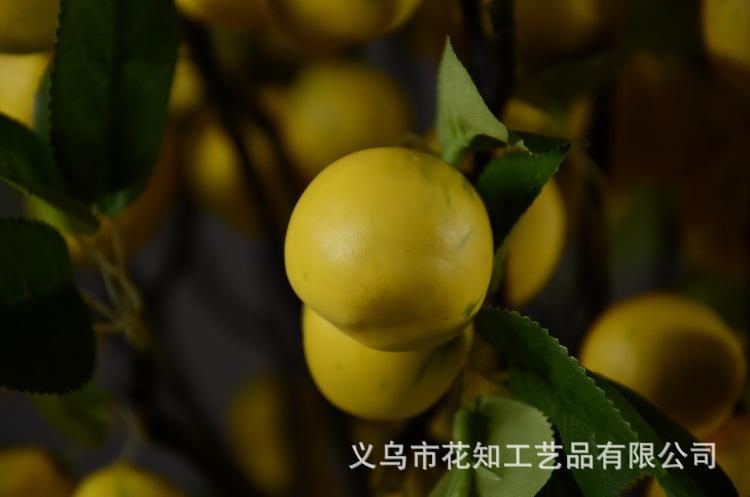 2-7黄色欧罗梨子.JPG