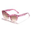 Nuevas Gafas de Sol Retro Cat-Eye para Exteriores de Rain para Mujer, Gafas de Sol de Moda de Alta Gama Europea y Americana Estilo Urbano