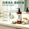 Champú Suavizante de Hojas de Ciprés Platycladus Personalizado, Nutritivo con Polygonum Multiflorum, Limpieza Profunda y Reparador, Procesamiento OEM