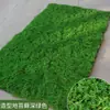 Musgo Verde Artificial Musgo Azul Paisaje en Miniatura Planta de Bonsái Pared Decorativa Material para Paisajismo Césped Artificial Paquete