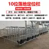 Venta Directa de Fábrica Corral Limitado para Lechones Corral de Posicionamiento para Cerdas con Placa de Drenaje de Excrementos Galvanizado en Caliente Estándar Nacional 2.5 de Espesor Equipo para Granjas Porcinas