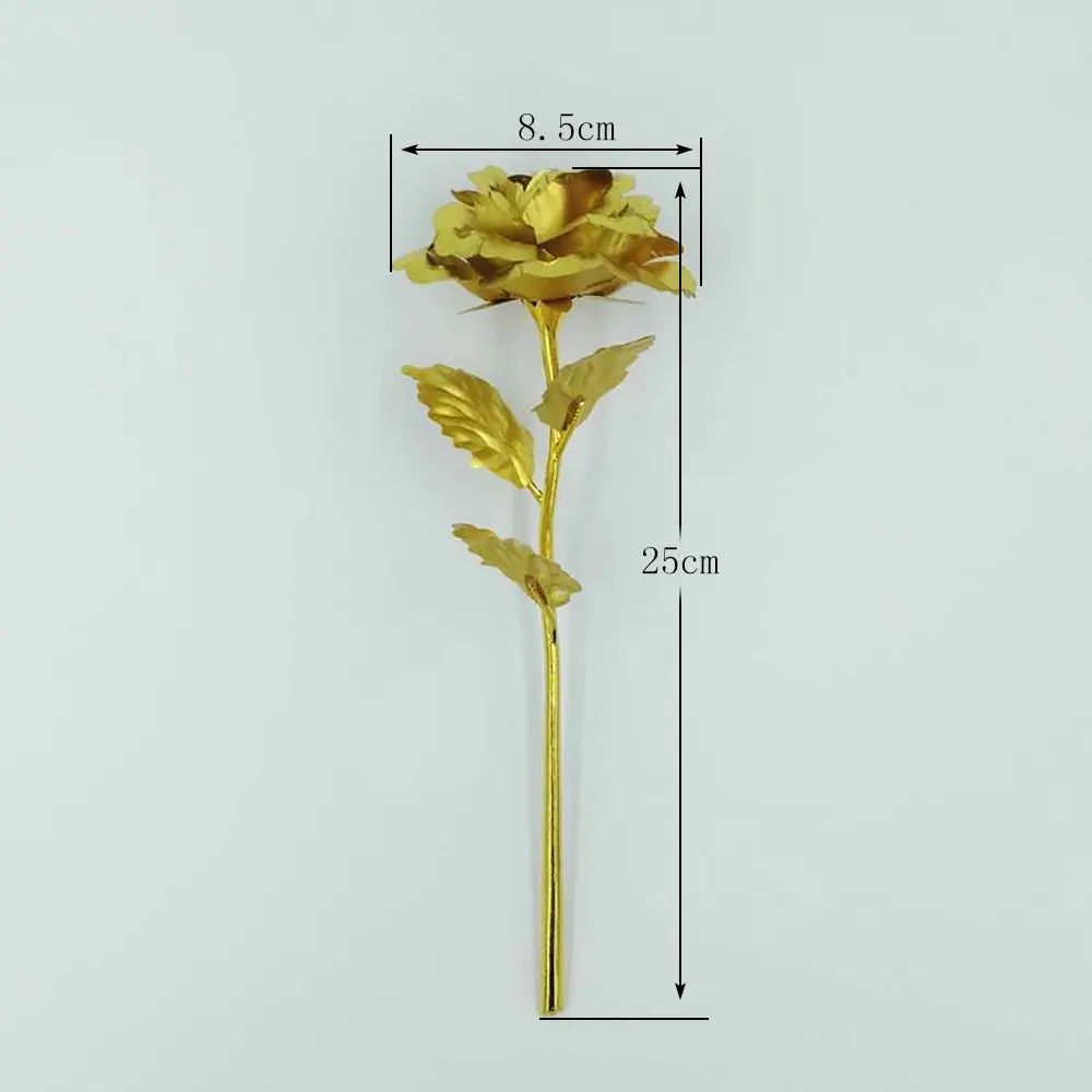 未标题-1