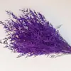 Hierba de Amor Blanqueada Flor Inmortal Hierba de Amor Blanqueada Ramo Seco Material Base Yunnan Venta Directa Ramo Pequeño Amazon