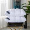 Fabricante Venta al por Mayor Hiltomganden Hotel Serie Patrón Twist Lujo Ligero Almohada de Alta Elasticidad Almohada para el Hogar Protección para el Cuello Núcleo de Almohada Regalo