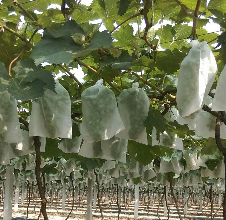 无纺袋详情-4_18