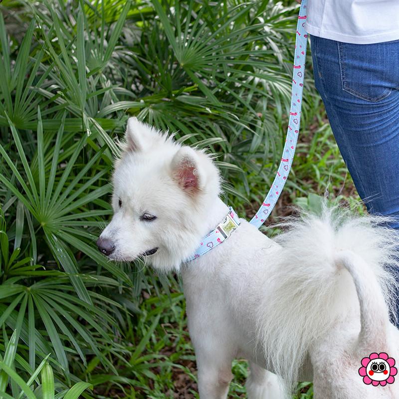 马卡龙蛋糕宠物狗项圈 清新夏日雪糕宠物狗圈 激光刻字金属扣狗