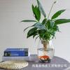 Vaso de vidro transparente estilo versátil, vaso hidropônico de ovo de dragão, conjunto de flores de bambu, arranjo de flores de rosas verdes, vaso de flores, ornamentos de aquário