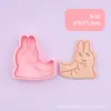 Molde de impresión de serie de emojis, patrones de emojis divertidos, varios diseños, molde 3D para galletas, diversión con arcilla de simulación DIY