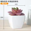 Plástico carnoso de simulación bonsái decoración de oficina escritorio adornos pequeños carnoso accesorios para fotos flores artificiales falsas