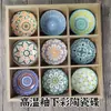 Platos de cerámica para comer, platillos para condimentos, platos para snacks de nueve compartimentos, platos para fondue y barbacoa, platos para preparar té, platos de cuatro-seis compartimentos, platos y tazones de porcelana