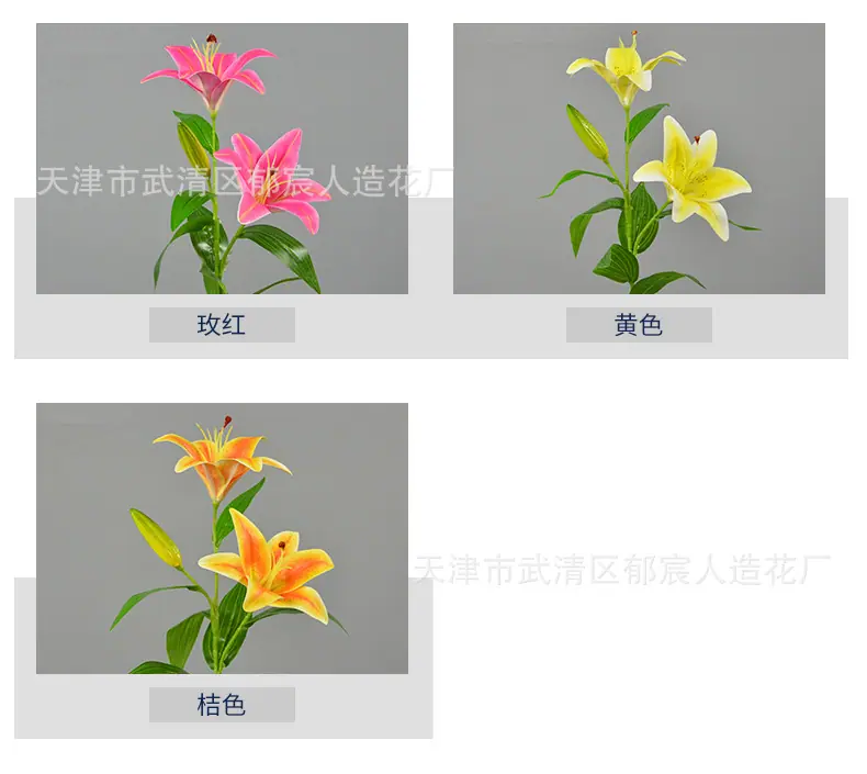 详情_03.jpg