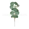 Ramo Único Simulación Eucalipto Hoja de Dinero Boda Hogar Arreglo Floral Flor de Simulación Verde Plantación Paisaje Rama Falsa Decoración Adornos