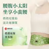 Pegatinas Personalizadas para el Vientre para Adelgazar, Pegatinas Perezosas para el Ombligo, Parches de Moxibustión, Parches para el Vientre, Parches de Acupuntura de Artemisa, Parches Ligeros y Adelgazantes