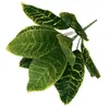Plantas Verdes Artificiales Transfronterizas Temu con 9 Hojas de Madera que Cambian de Color, Decoración de Pared de Fondo para Plantas de Interior, Venta Directa del Fabricante