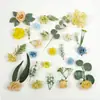 44 piezas de Flores de Rosa Simulada Frescas Pequeñas de Venta Caliente Tem Hojas Hierba Acuática Accesorios para Broche de Pelo Diadema de Pelo Hanfu Bricolaje