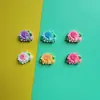 Flor de Color 3D Brillante Resina Accesorios Pequeños DIY Accesorios para el Cabello Funda de Teléfono Crocs Parche Hecho a Mano Material