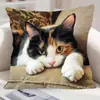 Fundas de Almohada de Animales Más Vendidas de Temu, Fundas de Almohada de Animales Lindas y Divertidas, Fundas Decorativas para Cojines de Dormitorio Hogar Sofá al por Mayor