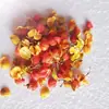 Venta Caliente de Amazon Vela Aromática de Pétalos de Rosa Materiales para Manualidades Jabón de Flores Bolsita de Flores Secas Rodaja de Limón Qiao Mei Rojo