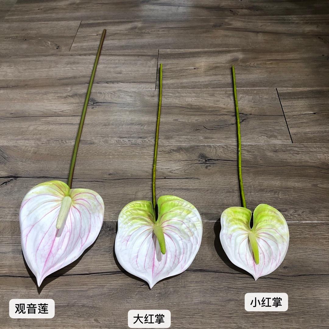 微信图片_20210731150013_副本.jpg