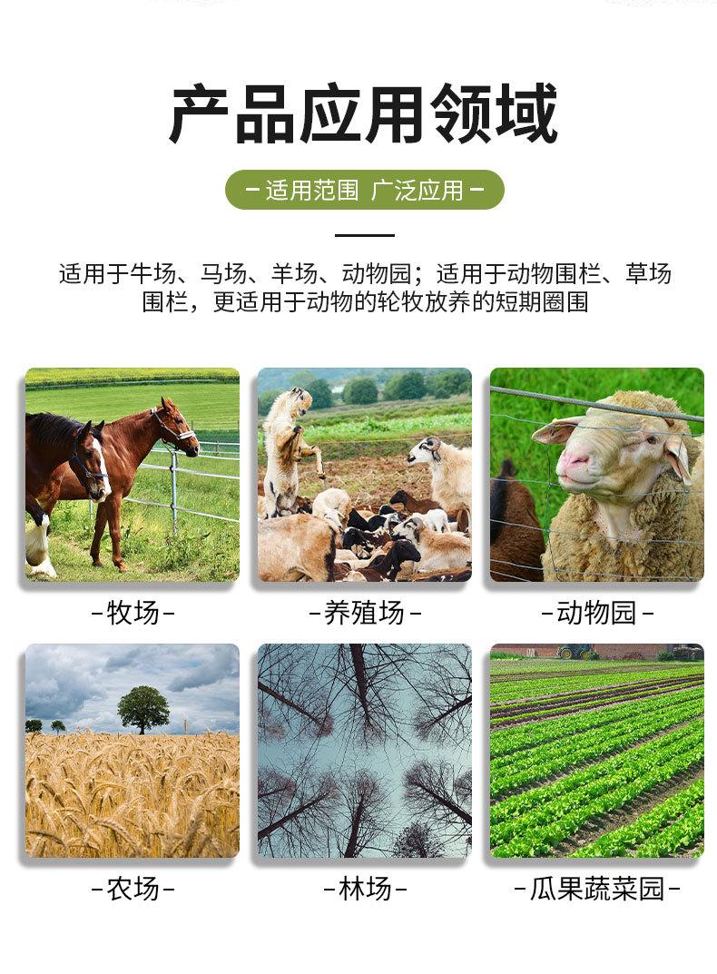 详情页_03