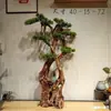 Talla de Raíz Natural, Talla en Madera, Madera Intemperie, Madera Muerta, Madera a la Deriva, Decoración Natural para el Hogar, Sala de Estar, Entrada, Madera para Paisajismo de Acuarios