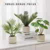 Plantas Verdes, Vasos Pequenos, Árvore da Fortuna Semelhante para Mesas de Escritório Internas, Mesas de Centro de Sala de Estar, Flores Artificiais e Arranjos Florais