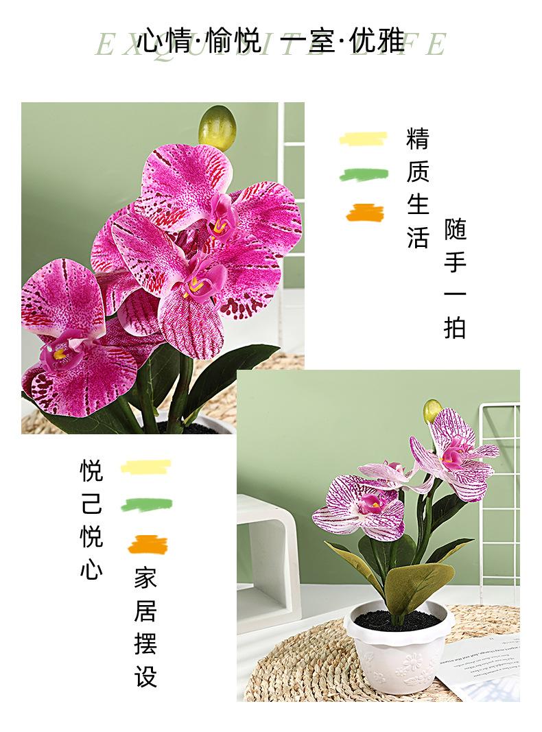 保侬详情_02.jpg