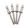 Todo en acero inoxidable trefilado 4.8 cabeza redonda plana estructural 6.4 cabeza avellanada cerradura interior remache de extracción de núcleo de copa punto de fábrica