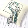 Bufanda de seda para mujer primavera y otoño estilo coreano Corea del Sur bufanda con cinturón de cinta puntiaguda de longitud media banda para el pelo de verano bufanda de moda
