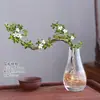 Baoshi Nieve de junio maceta hidropónica bonsái forma de acantilado oficina interior mesa fácil de cuidar plantas de follaje mesa de centro agua