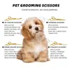 Gutche Juego Profesional de Tijeras para Aseo de Mascotas Tijeras de Cabeza Redonda Doradas Tijeras Planas Tijeras Dentales Tijeras de Seguridad