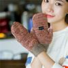 Versión coreana de otoño e invierno para mujer, cálidos y lindos guantes de lana con dedos dobles con tapa, guantes de medio dedo para mujer, una generación de cabello