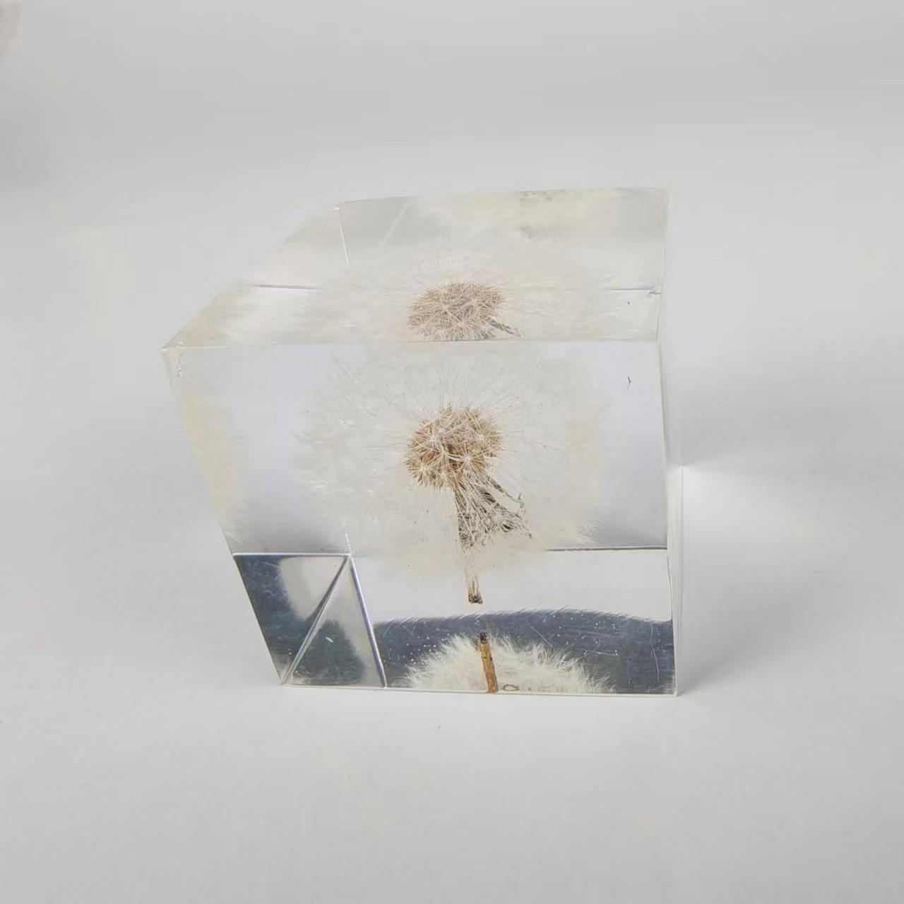 透明树脂工艺品水晶胶标本样品展示工艺品内埋真实蒲公英摆件礼物